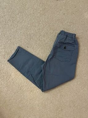 Banana Republic Blue Grey Ankle Chino